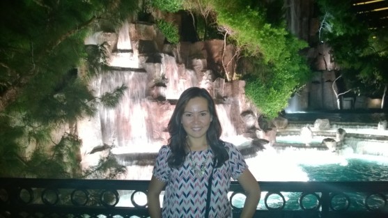 The Wynn waterfall
