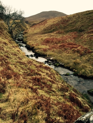 Flowing through the heather